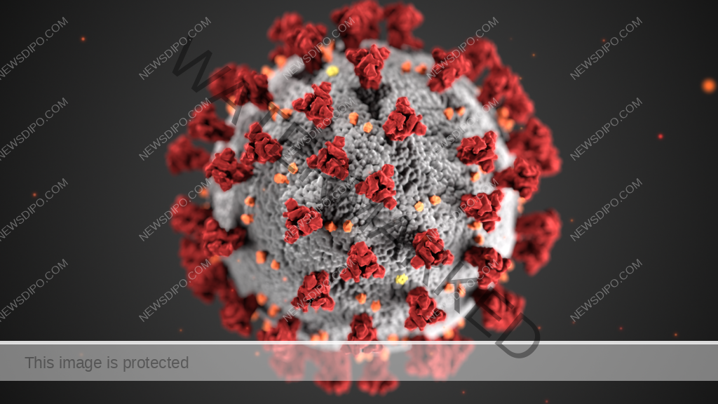 Coronavirus_3D_illustration_by_CDC_1600x900