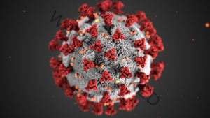 Coronavirus_3D_illustration_by_CDC_1600x900