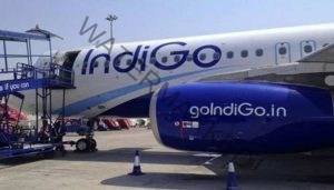 1218656-indigo