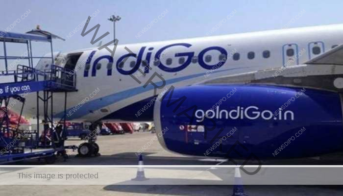 1218656-indigo