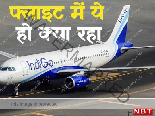 indigo-97564857.jpg