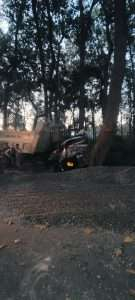 IMG-20230412-WA0038.jpg