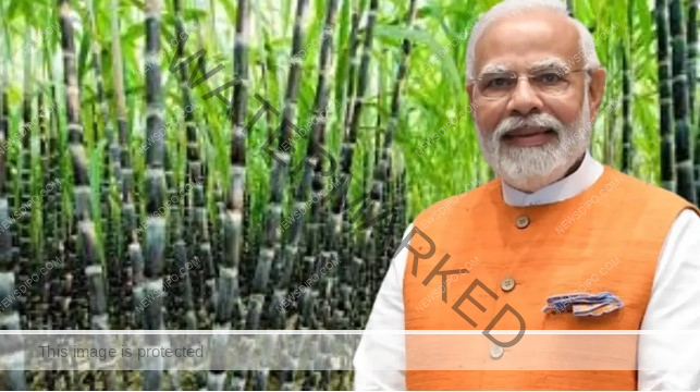 narendra-modi