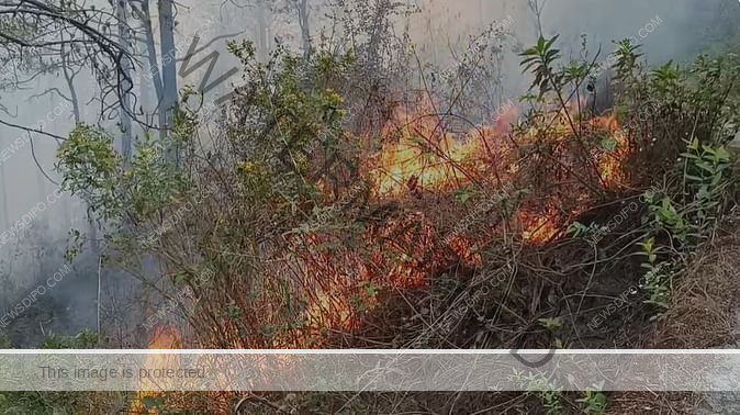 nainital-forest-fire_673a10216d5634a42f76141404629739.jpeg