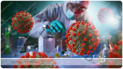 covid-19-coronavirus-corona_b0773d7649612ae3e3ce22485ae9b46f.jpeg