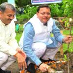 🌳 “एक पेड़ माँ के नाम” अभियान: उत्तराखंड हरा-भरा बनाने की मुहिम! 🌿